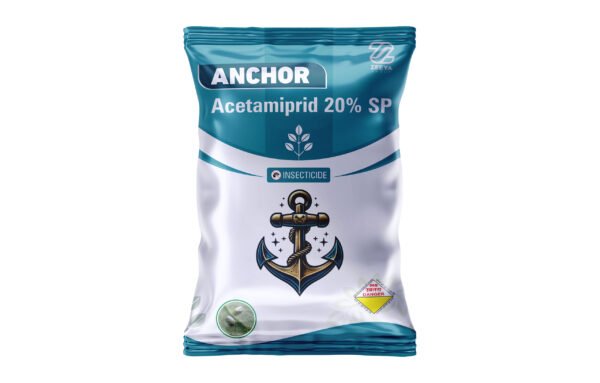 ANCHOR