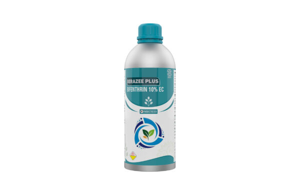 BERAZEE PLUS