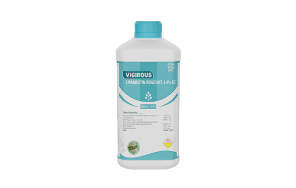 VIGIROUS
