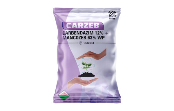 CARZEB