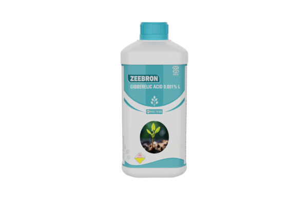 ZEEBORN