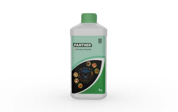 PANTHER